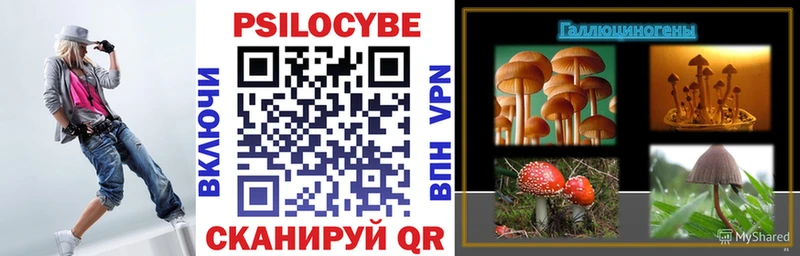 Псилоцибиновые грибы Psilocybe  Струнино 
